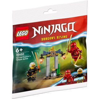 LEGO® Ninjago® 30650 - Kais und Raptons Duell im Tempel