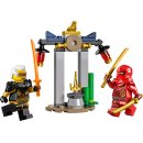LEGO® Ninjago® 30650 - Kais und Raptons Duell im Tempel