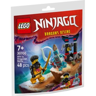 LEGO® Ninjago® 30700 - Arins Duell mit dem Drachenmenschen