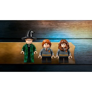 LEGO® Harry Potter&trade; 76382 - Hogwarts&trade; Moment: Verwandlungsunterricht